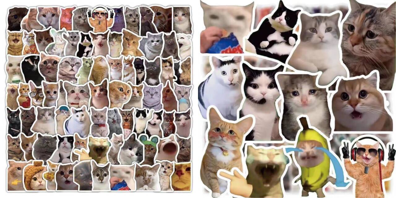 e69f90e5ae9de4bb98e8b4b9e7b4a0e69d90efbc8ce78cabmemee7b4a0e69d90e7bbbfe5b995e8a786e9a291e589aae8be91e7b4a0e69d90e5b08fe78cabe592aa_6aae550b1353d.jpeg 某宝付费素材,猫meme素材绿幕视频剪辑素材小猫咪跳舞,适合抖音B站搞笑短视频合集!