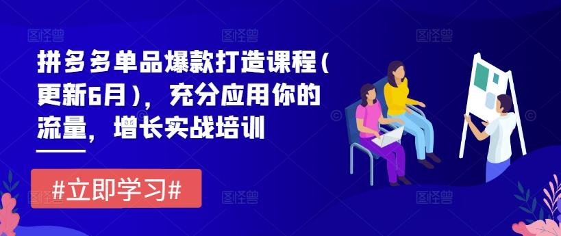 001eefd79e0831e2c1fe7587db18fb60.jpeg 拼多多单品爆款打造课程(更新6月),充分应用你的流量,增长实战培训