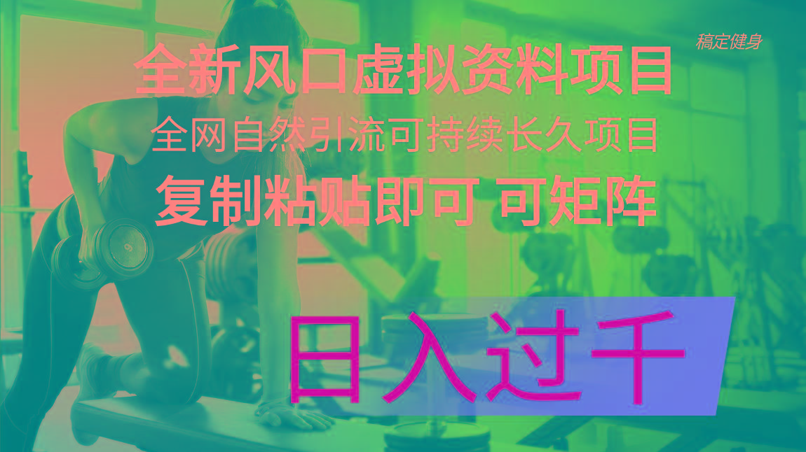 全新风口虚拟资料项目 全网自然引流可持续长久项目 复制粘贴即可可矩阵…-鼎铸网