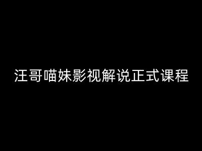 汪哥影视解说正式课程：剪映/PR教学/视解说剪辑5大黄金法则/全流程剪辑7把利器等等-鼎铸网