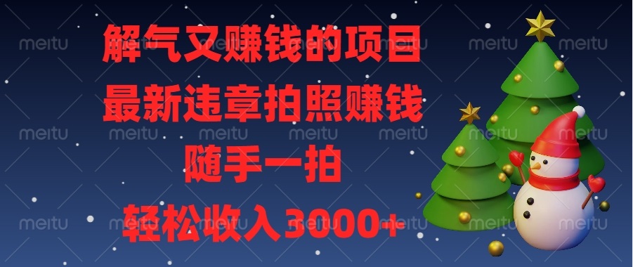 解气又赚钱的项目，最新违章拍照赚钱，随手一拍，轻松收入3000+-鼎铸网