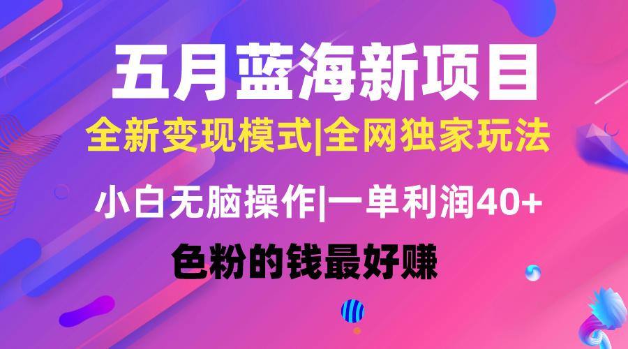 五月蓝海项目全新玩法，小白无脑操作，一天几分钟，矩阵操作，月入4万+-鼎铸网