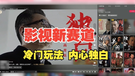 最新影视解说玩法，人物独白，30天涨粉24万+，全流程拆解【揭秘】-鼎铸网