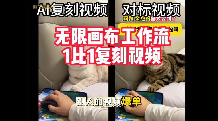 宠物带货视频复刻，无限画布工作流1比1，不用拍摄、不用布景、不用真人出镜，几分钟就能做出一条专业带货视频-鼎铸网