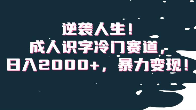 0494ff9d338fe650cd26b8cf6d541561.jpeg 逆袭人生!成人识字冷门赛道,日入2000+,暴力变现!【揭秘】