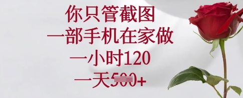 04e354bff15627d7ecc5a935f0419d26.jpeg 你只管截图,一部手机在家做,一小时120.一天5张【揭秘】