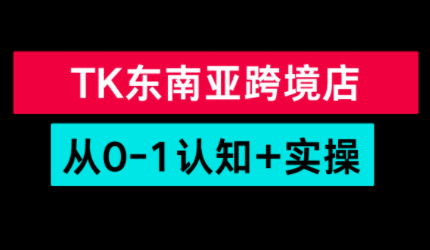 TikTok东南亚跨境从0-1认知实操课-鼎铸网