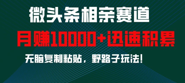 微头条相亲赛道，迅速积累，无脑复制粘贴，野路子玩法，月入1w-鼎铸网