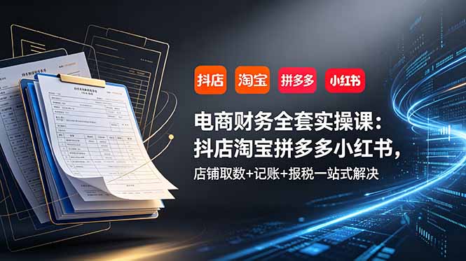 电商财务全套实操课：抖店淘宝拼多多小红书，店铺取数+记账+报税一站式解决-鼎铸网