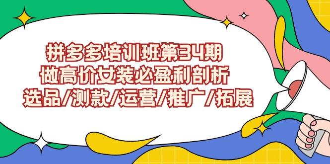 (9333期)拼多多培训班第34期：做高价女装必盈利剖析  选品/测款/运营/推广/拓展-鼎铸网