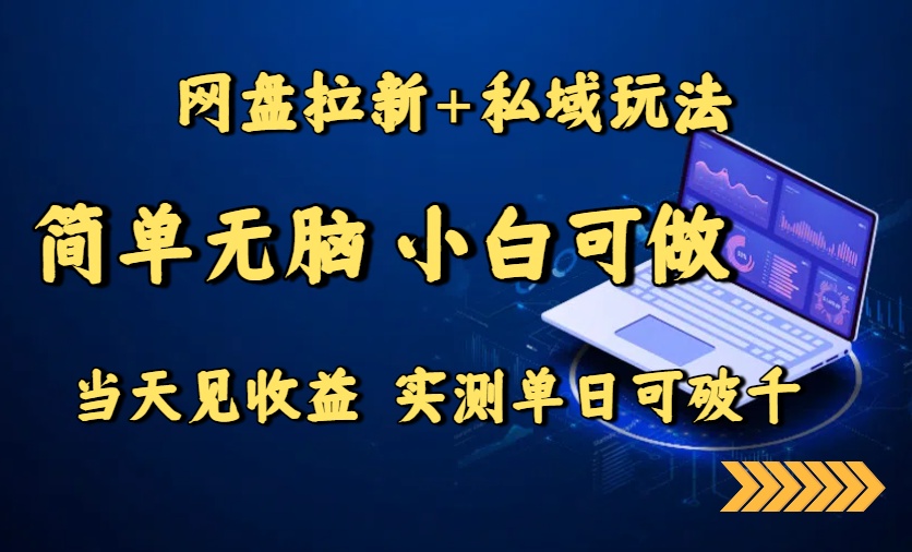 网盘拉新+私域玩法,简单无脑,小白可做,当天见收益,实测单日可破千-鼎铸网