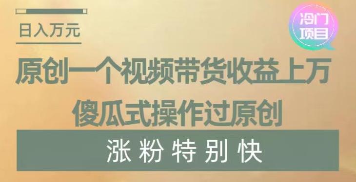 原创一个视频带货收益上万，傻瓜式操作过原创，几分钟做一个视频涨粉特别快【揭秘】-鼎铸网