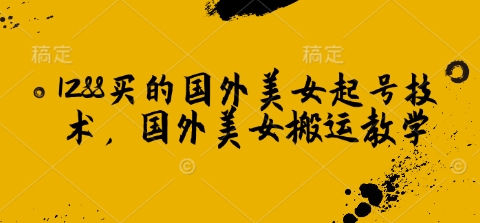 1288买的国外美女起号技术,国外美女搬运教学-鼎铸网