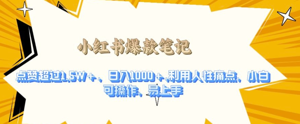 利用人性的痛点，打造爆款笔记，获得点赞超过1.5W+，日入1k【揭秘】-鼎铸网