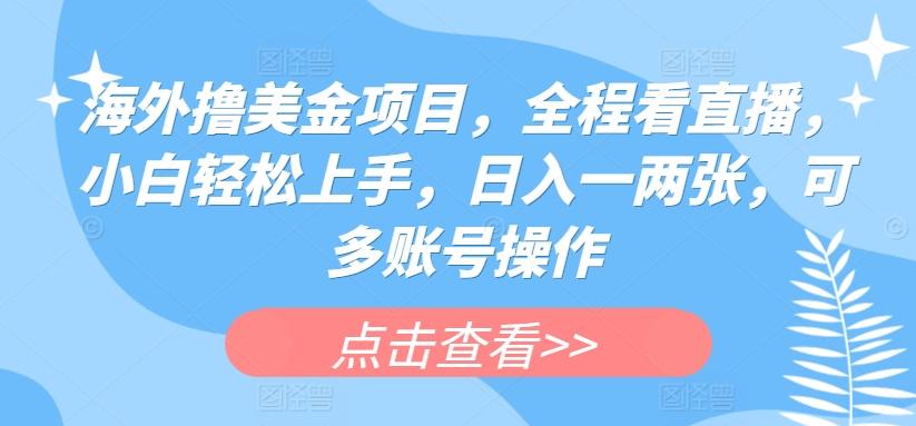 0ab6ff01cf83a4647c35171e70250cf1.jpeg 海外撸美金项目,全程看直播,小白轻松上手,日入一两张,可多账号操作【揭秘】