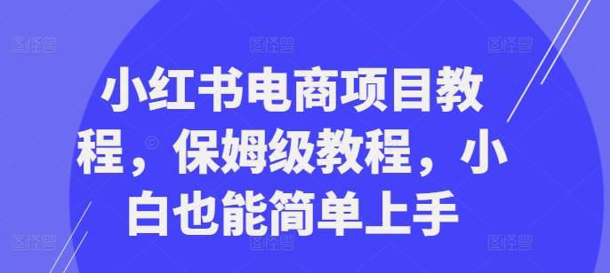 小红书电商项目教程，保姆级教程，小白也能简单上手-鼎铸网
