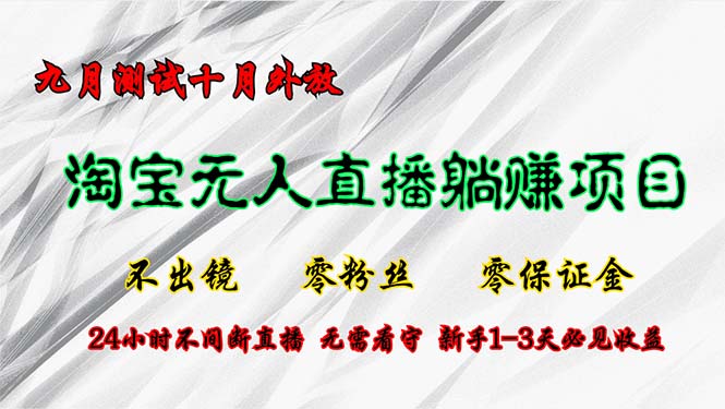 淘宝无人直播最新玩法，九月测试十月外放，不出镜零粉丝零保证金，24小…-鼎铸网