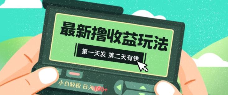 2024最新撸视频收益玩法，第一天发，第二天就有钱-鼎铸网
