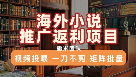 0b95bab107982bf851b1b57c481998d0.jpeg 海外小说推广返利项目,视频投喂, 一刀不剪,矩阵批量