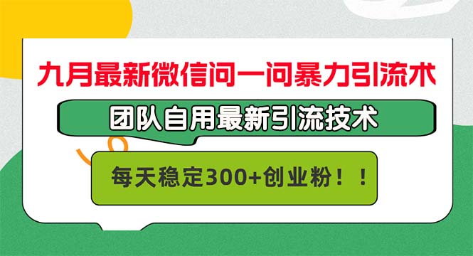 九月最新微信问一问暴力引流术，团队自用引流术，每天稳定300+创…-鼎铸网