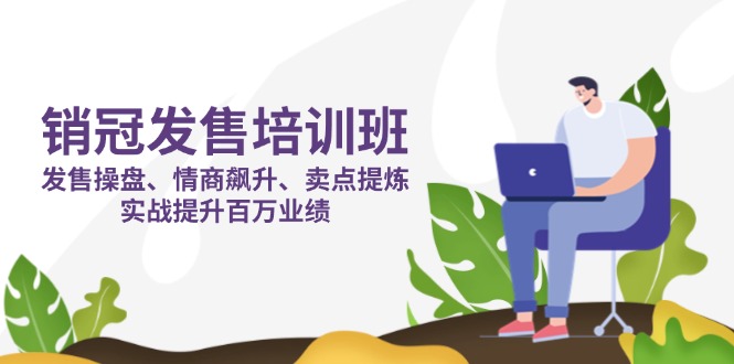 销冠 发售培训班:发售 操盘+情商 飙升+卖点 提炼,实战提升百万业绩-鼎铸网