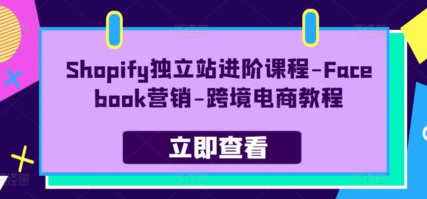 Shopify独立站进阶课程-Facebook营销-跨境电商教程-鼎铸网