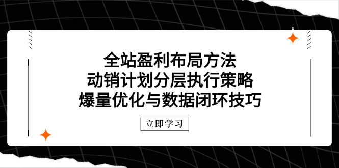 0dfb09ead5299ede687c14debf74527e.jpeg 全站盈利布局方法:动销计划分层执行策略,爆量优化与数据闭环技巧