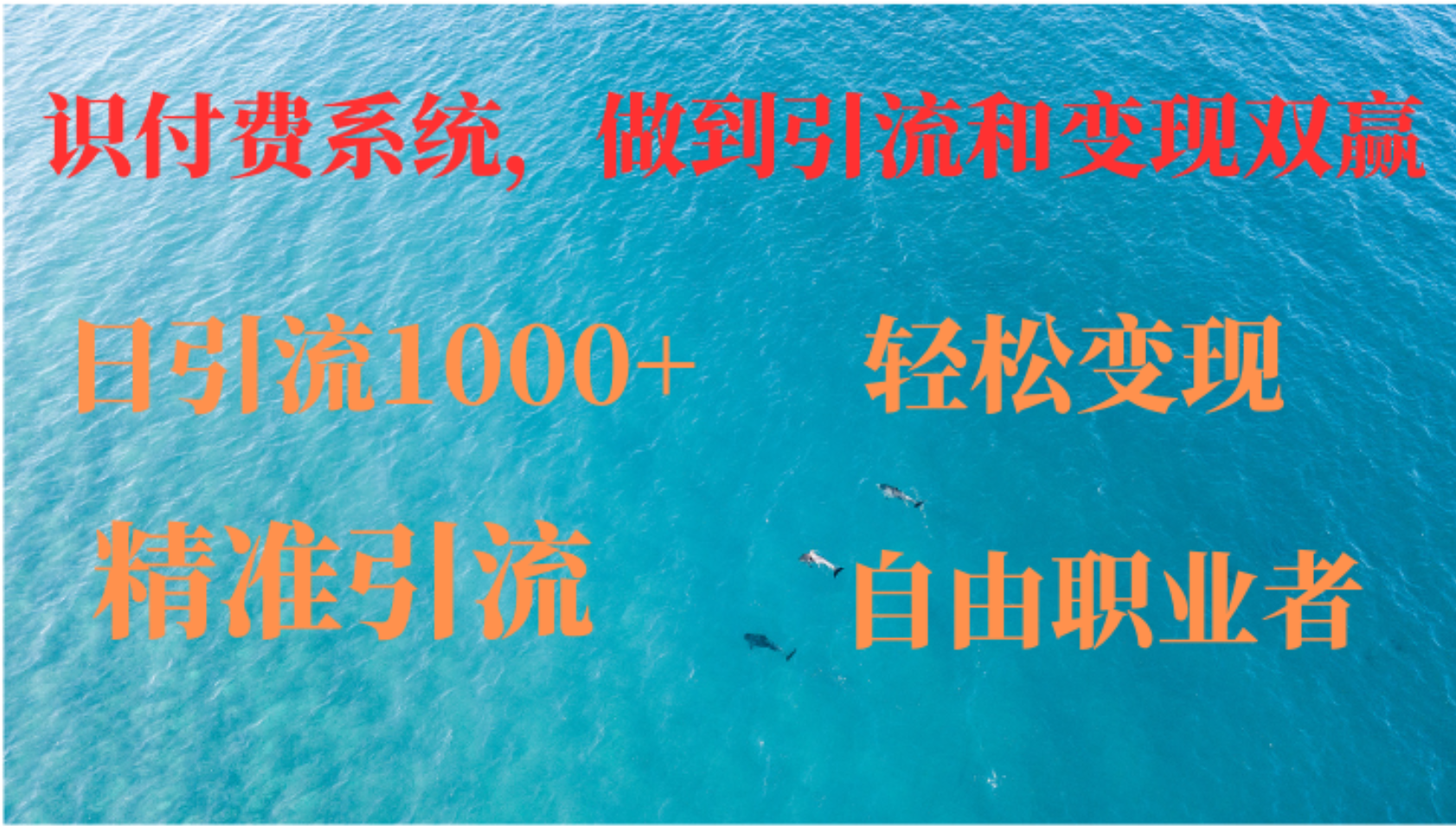 如何搭建自己的知识付费系统，做到引流和变现双赢-鼎铸网