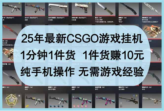 25年最新CSGO游戏挂机,1分钟1件货,1件货赚10元 纯手机操作 无需游戏经验-鼎铸网