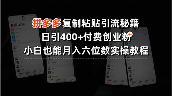 0ee25ddd0a233d5756d0f5d9a540a4a1.jpeg 拼多多复制粘贴引流秘籍,日引400+付费创业粉,小白也能月入六位数实操…