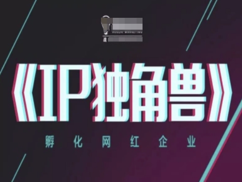 0f383cc75e919d39df9e4a425ebd6303.jpeg IP独角兽,孵化网红企业,ip教程