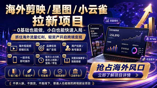 海外剪映 / 星图 / 小云雀拉新项目 普通人也能上手的跨境流量变现副业-鼎铸网