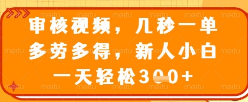 审核视频，几秒一单，多劳多得，新人小白一天轻松3张【揭秘】-鼎铸网