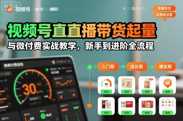 视频号直播带货起量与微付费实战教学，新手到进阶全流程-鼎铸网