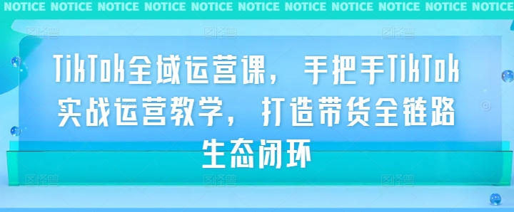 TikTok全域运营课，手把手TikTok实战运营教学，打造带货全链路生态闭环-鼎铸网