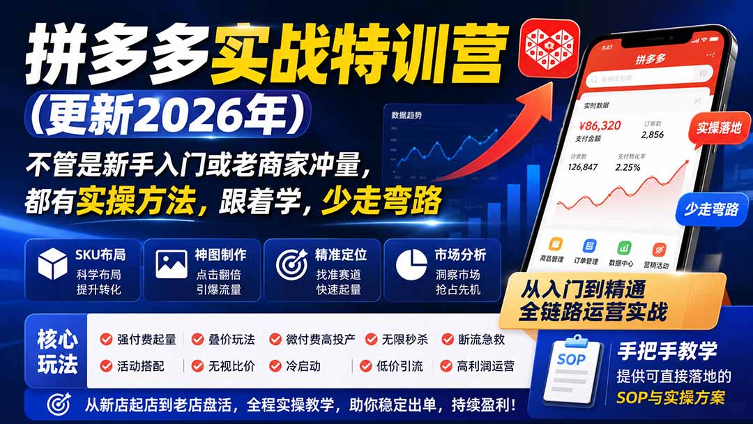 拼多多实战特训营(更新26年0821-鼎铸网