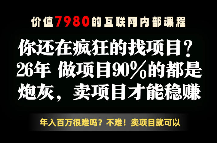 26年请不要疯狂的找项目了,卖项目远比你想象的暴利,你也可以月入10W+【揭秘】-鼎铸网