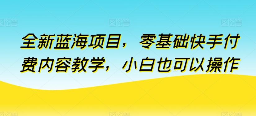 全新蓝海项目，零基础快手付费内容教学，小白也可以操作【揭秘】-鼎铸网