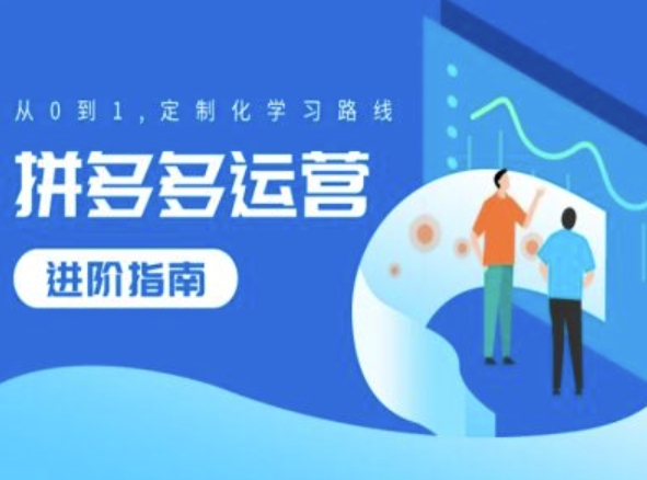 拼多多运营进阶指南，从0到1定制化学习路线-鼎铸网