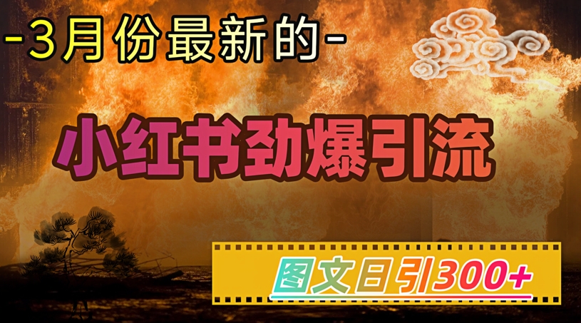 1674eda59581d28bffd70f9ed927fbc3.jpeg 小红书超劲爆引流手段,图文日引300+轻松变现1W