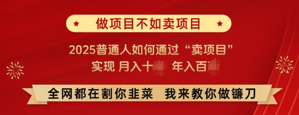 16f64fa7538d9e6c4dd3cf774e3cd1c9.jpeg 必看,做项目不如卖项目,2025普通人如何通过“卖项目”实现月入十个,年入百个