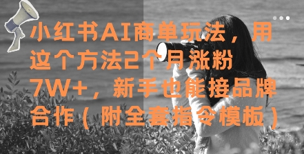 176815240f832fee381321cb2c3a6cf9.jpeg 小红书AI商单玩法,用这个方法2个月涨粉7W+,新手也能接品牌合作(附全套指令模板)