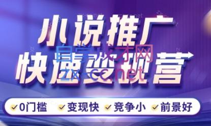 洲洲老师·小说推广快速变现营-鼎铸网