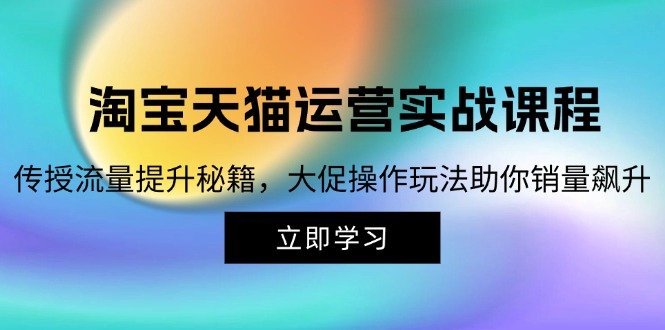 淘宝&天猫运营实战课程，传授流量提升秘籍，大促操作玩法助你销量飙升-鼎铸网