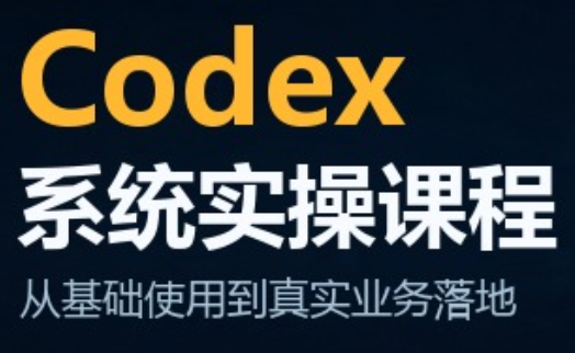 codex系统实操课程(更新10月)-鼎铸网