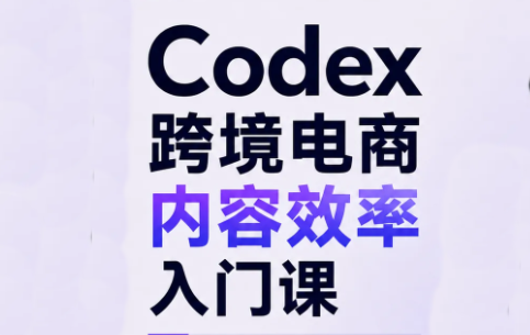 Codex跨境电商内容效率入门课-鼎铸网