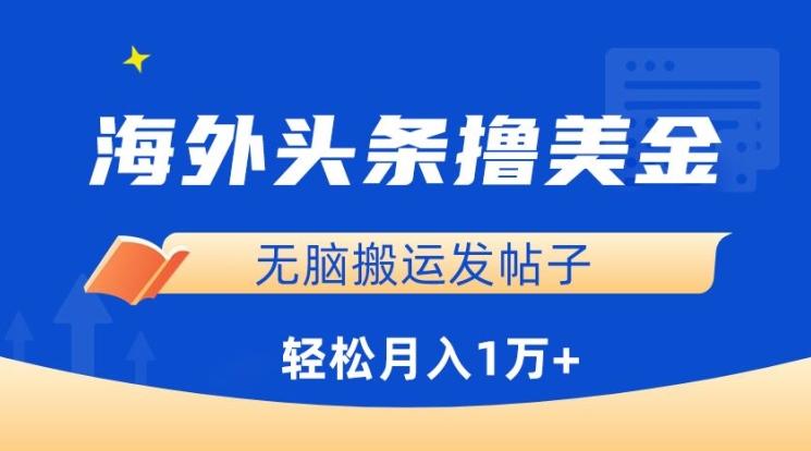 海外头条撸美金，无脑搬运发帖子，月入1万+，小白轻松掌握【揭秘】-鼎铸网
