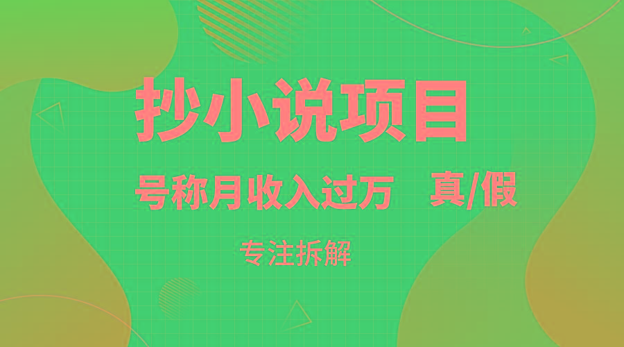 抄小说项目，号称月入过万，到底是否真实，能不能做，详细拆解-鼎铸网