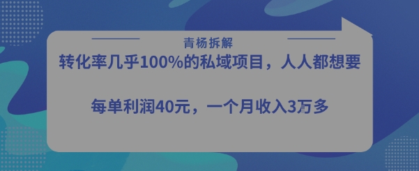 转化率最高的私域项目，每单利润40-50米，月入过1w-鼎铸网