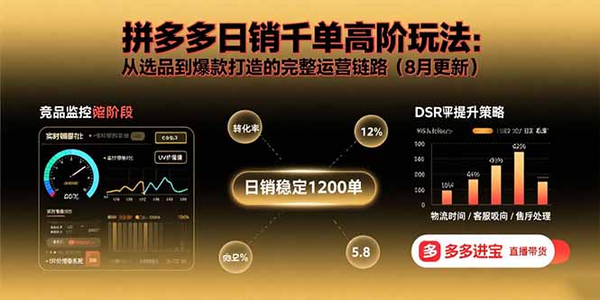 拼多多日销千单高阶玩法：从选品到爆款打造的完整运营链路(8月更新-鼎铸网